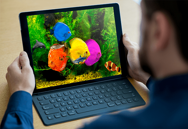 un hombre viendo la pantalla de un ordenador en la que se observan peces de colores en el fondo del mar