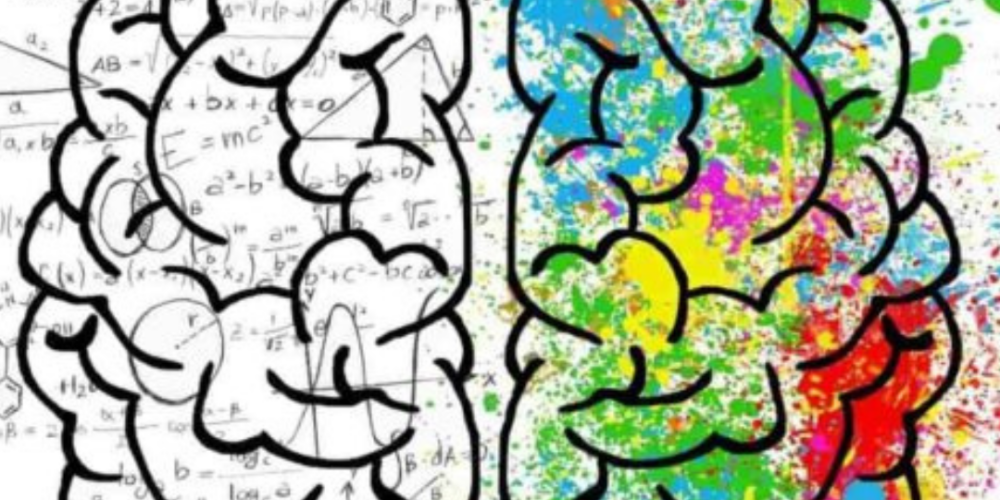 imagen de los dos hemisferios del cerebro, uno de ellos sin color y el otro con distintos colores