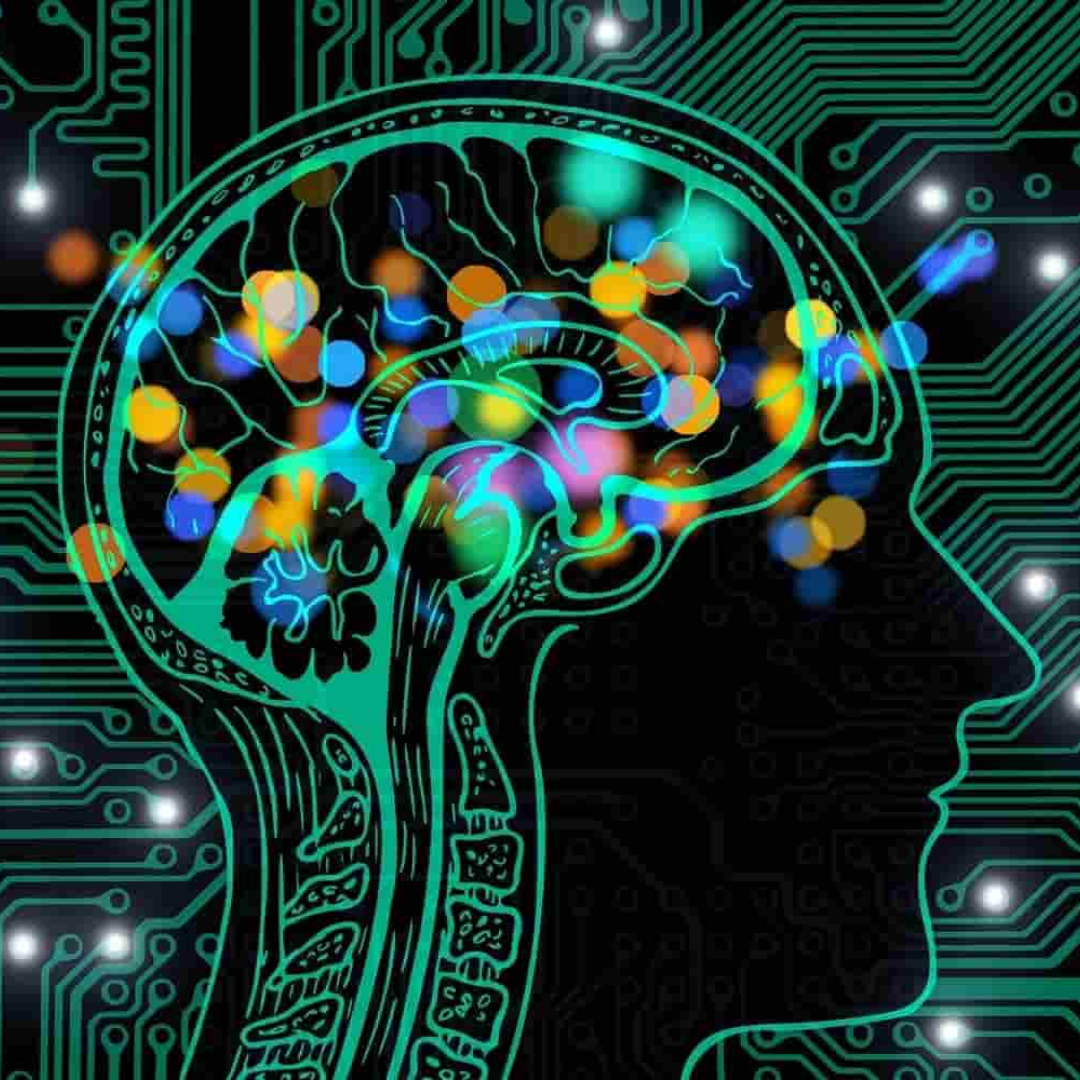 imagen de la cabeza humana, sobresaliendo por colores el cerebro