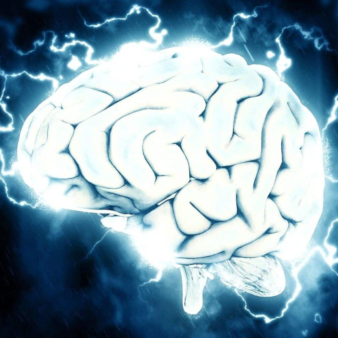 imagen del cerebro humano