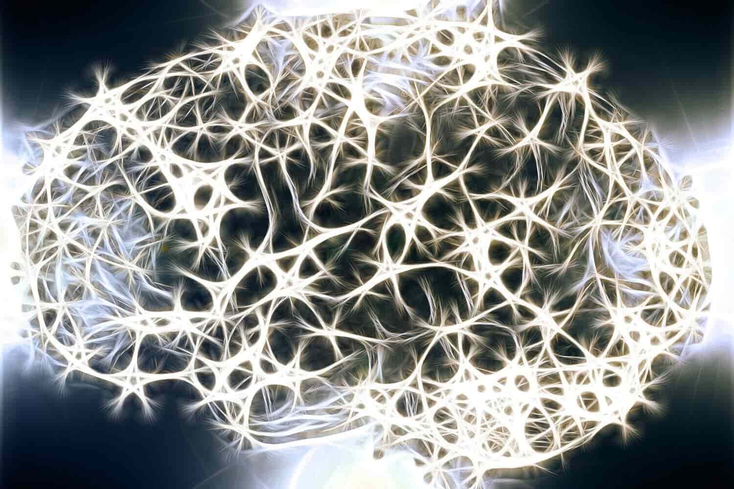 silueta del cerebro junto con la red neuronal