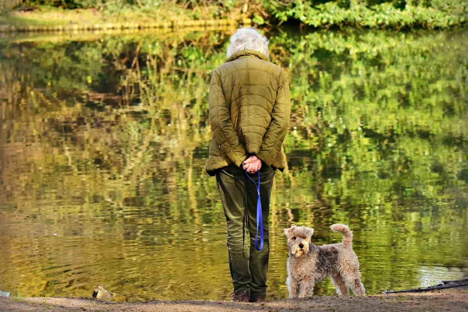 un hombre dando un paseo con un perro