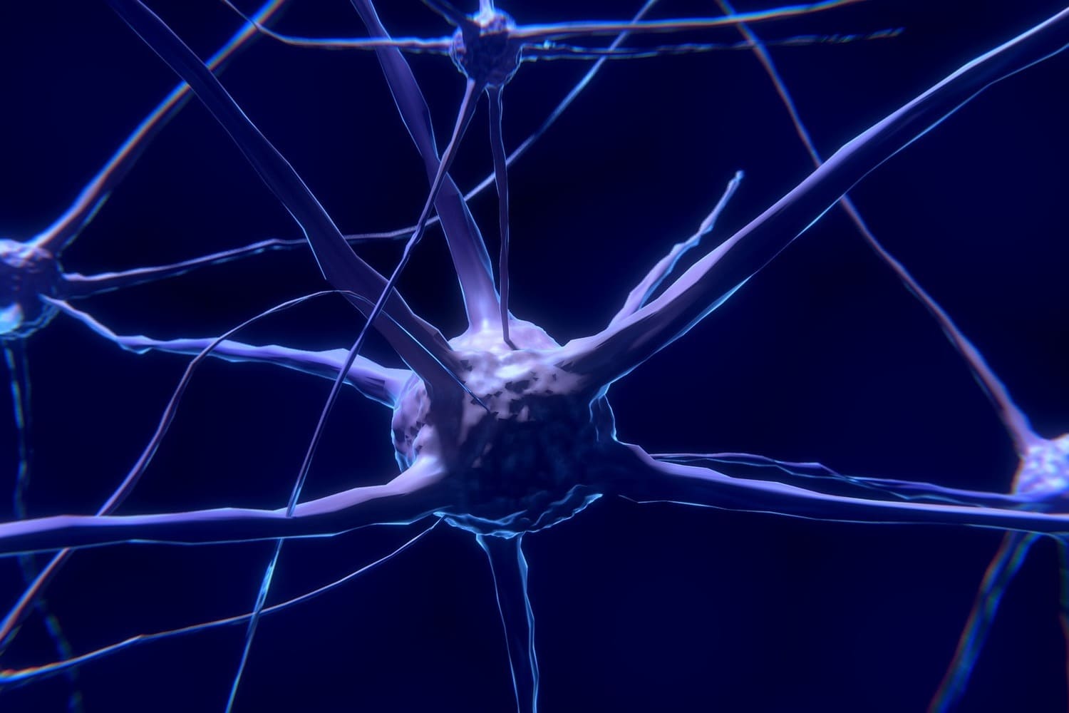 Existen múltiples tipos de neuronas cada una con una función