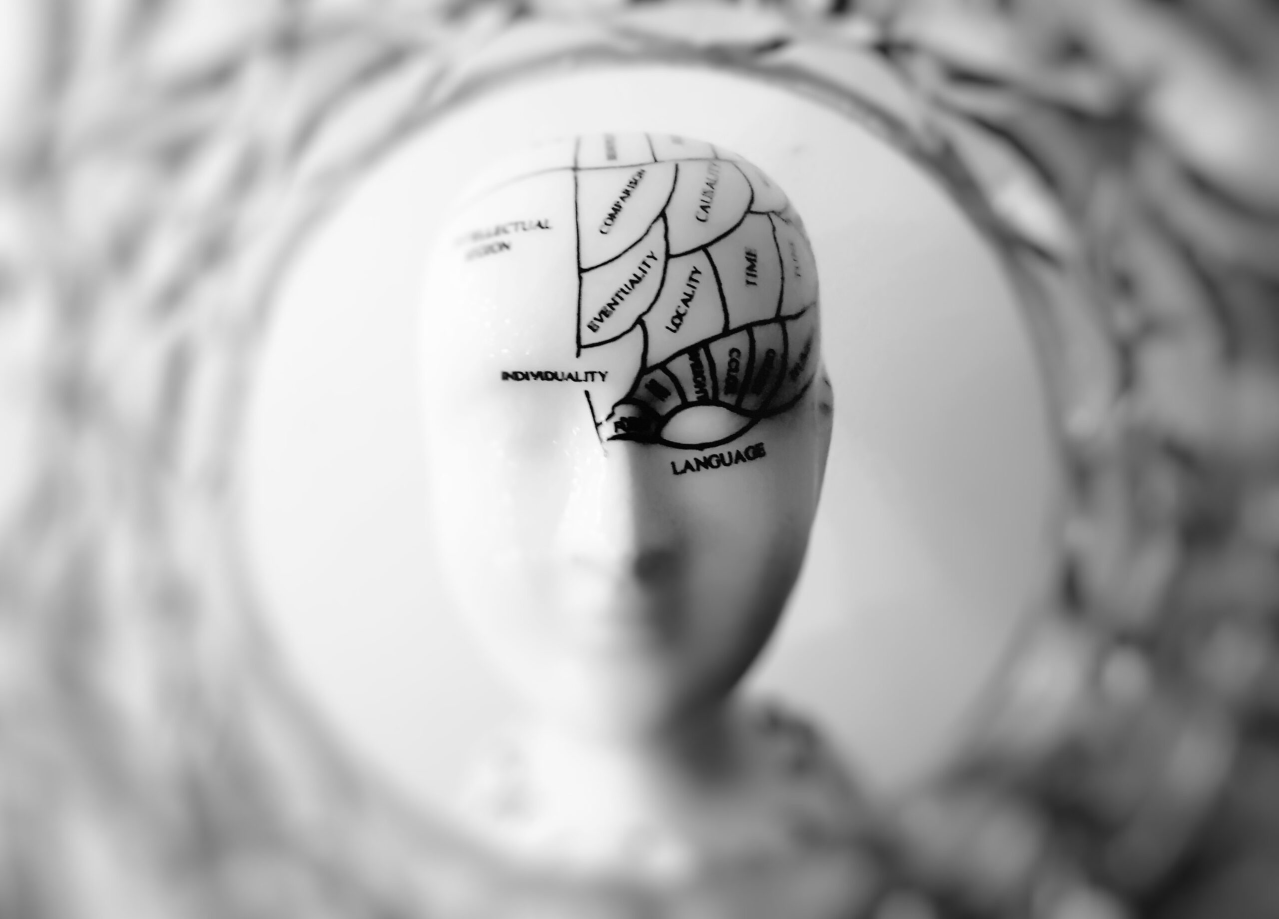 escultura de una cabeza con partes del cerebro señaladas