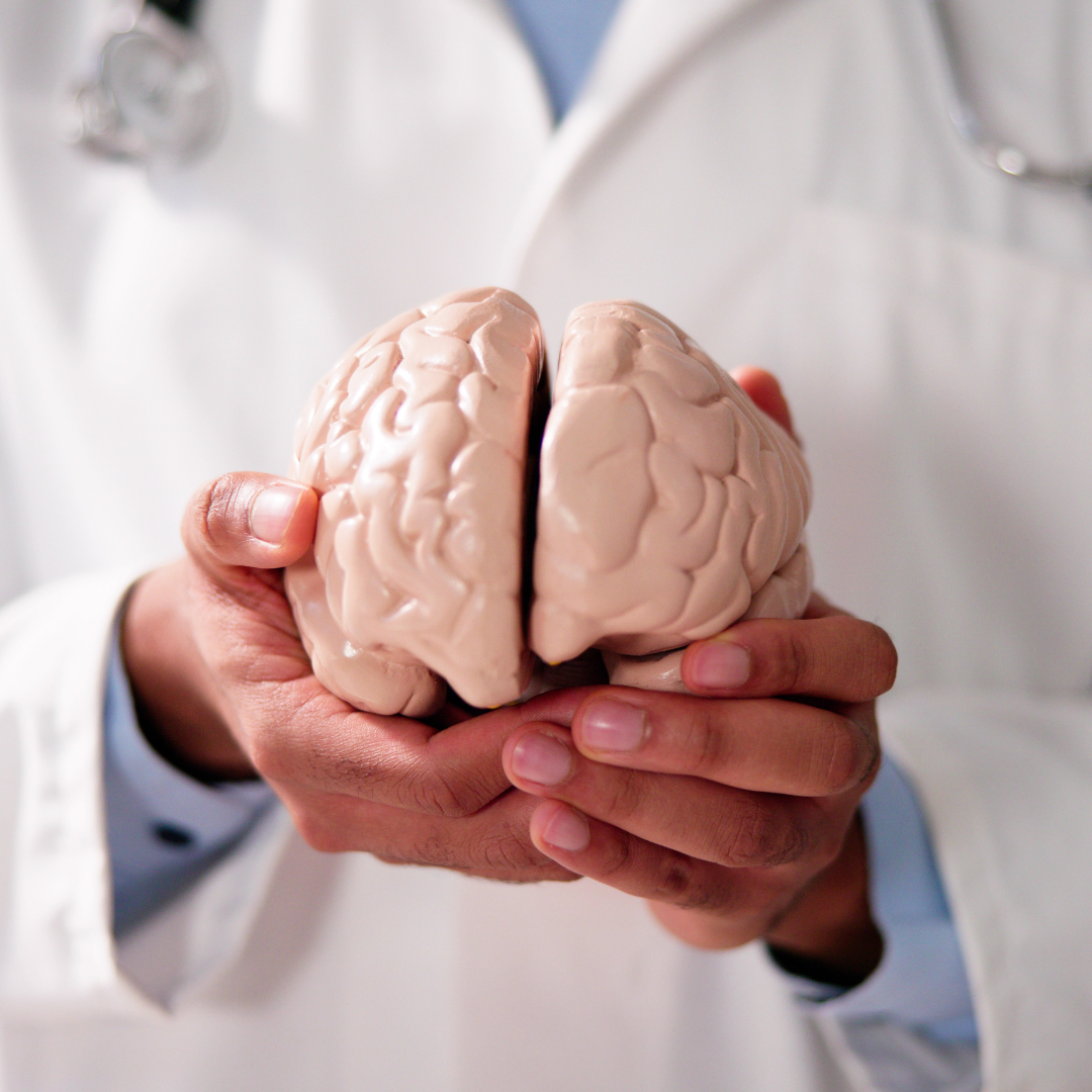 medico sosteniendo un cerebro. imagen que hace referencia a terapia cognitiva vs rehabilitación cognitiva