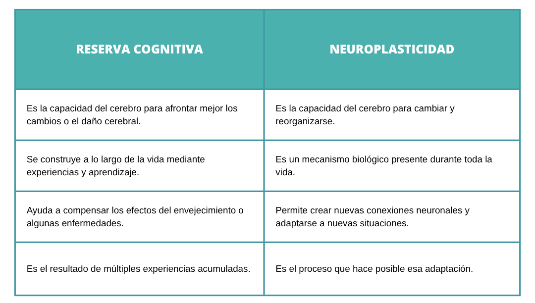 Reserva cognitiva y neuroplasticidad: ¿en qué se diferencian?